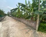 ĐẦU TƯ ĐẤT XÃ THANH HỒNG 300M X 12M – GIÁ RẺ – TĂNG GIÁ MẠNH TRONG VÒNG 1-2 NĂM CHỈ 4,8 TỶ
