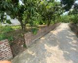 CHÍNH CHỦ BÁN ĐẤT 500M² TẠI XÃ THANH HỒNG – GẦN TRƯỜNG, CHỢ, CÔNG TY 12 TỶ. 📍 Địa chỉ: Xã