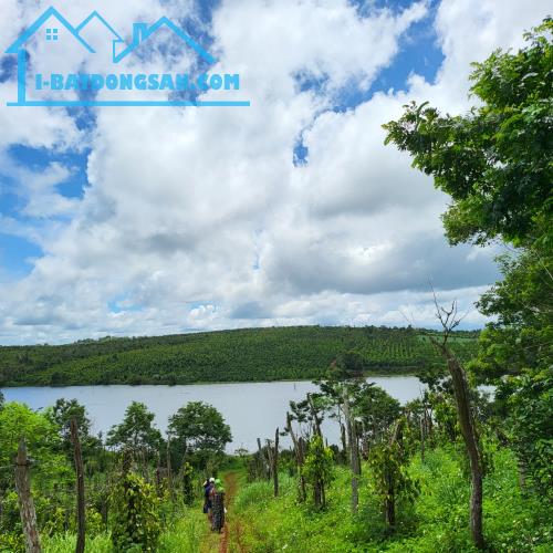 Bán đất Tuy Đức – Đắk Nông, sát Lâm Đồng – khí hậu mát mẻ quanh năm - 1