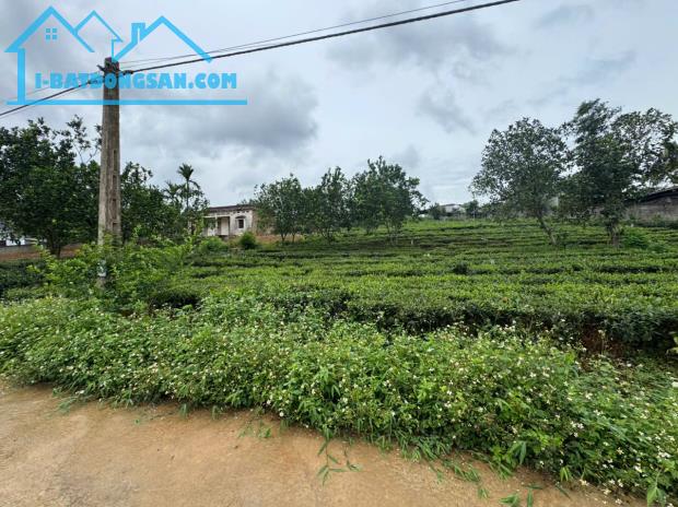 Bán 615M_100M thổ cư bám đường bê tông 15M, cách đường tỉnh 91 100M_tt Ba Trại Ba Vì HN