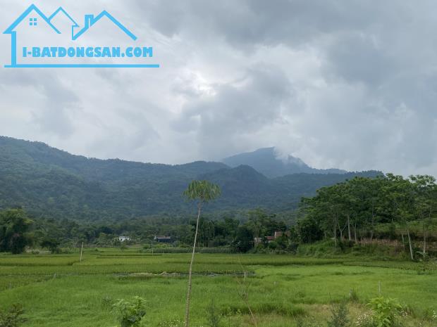 Bán 615M_100M thổ cư bám đường bê tông 15M, cách đường tỉnh 91 100M_tt Ba Trại Ba Vì HN - 1