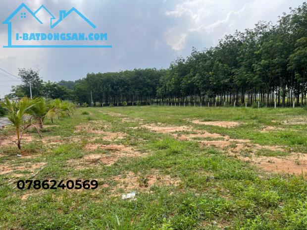 Bán đất Tân Định – Bến Cát, Bình Dương | Mặt tiền đường nhựa 10m | Sổ hồng riêng - 2