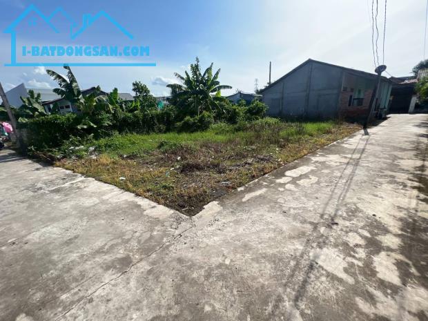 Đất thổ cư 100% có diện tích 158m2 (ngang 8,1 - dài 18,6) nở hậu ngang 10,3m - 2