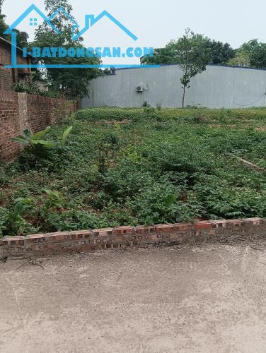 Bán Đất - Xã Tân Minh (Sóc Sơn)-88m2 Full Thổ Cư Đường Thông Ô TÔ -2,08Tỷ - 1