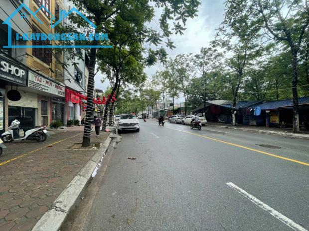 Bán đất dương văn bé 119M ô tô vào đất 1 nhà ra phố hai bà trưng - 3