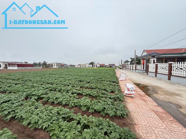 Chính chủ bán đất nền ven biển Quất Lâm - 4