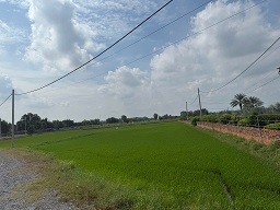 Bán đất nông nghiệp giá tốt – vị trí đẹp – mặt tiền xe tải - 4