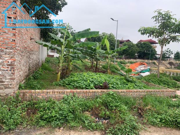 BÁN EM SIÊU PHẨM 100M2 LỆ CHI-GIA LÂM- ĐƯỜNG Ô TÔ-  VIEW HỒ- GIÁ 5 TỶ. - 2
