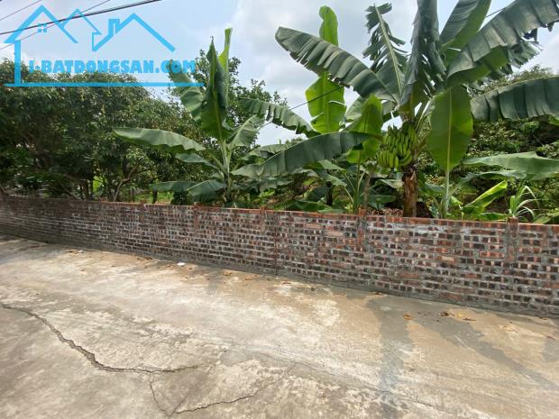 bán đất tại xã thanh hồng 250m x 8m ô tô khu phân lô giá rẻ chỉ 7.2 tỷ.