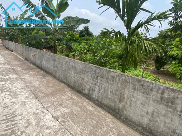 bán đất tại xã thanh hồng 250m x 8m ô tô khu phân lô giá rẻ chỉ 7.2 tỷ. - 1