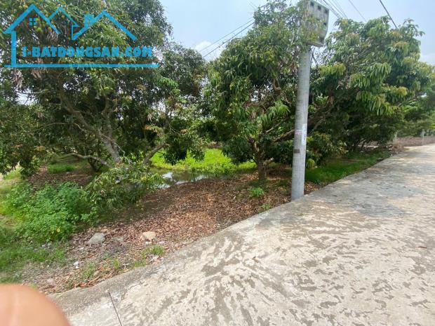 bán đất tại xã thanh hồng 250m x 8m ô tô khu phân lô giá rẻ chỉ 7.2 tỷ. - 2