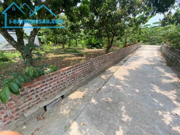 bán đất tại xã thanh hồng 250m x 8m ô tô khu phân lô giá rẻ chỉ 7.2 tỷ. - 4