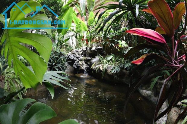 ⚜️ BIỆT THỰ PHỐ TÔ NGỌC VÂN, TÂY HỒ 426M2 4T MT 20M, Ô TÔ TRÁNH, VỈA HÈ CHỈ 145 TỶ ⚜️ - 3