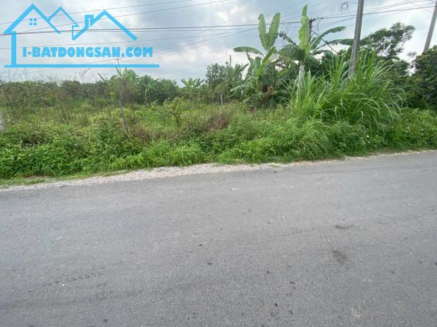 Bán đất xã Thanh Hồng – Lô đẹp 200m² – full thổ cư – giá chỉ 7 Tỷ. - 3