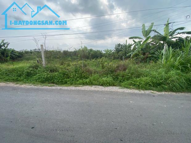 Bán đất xã Thanh Hồng – Lô đẹp 200m² – full thổ cư – giá chỉ 7 Tỷ. - 4