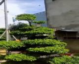 Kẹt tiền bán gấp nhà mặt tiền đường Lý Nhơn, xã Lý Nhơn, Cần Giờ