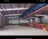 CHO THUÊ KHO XƯỞNG 1.000m2 TẠI CCN THANH OAI - TP Hà Nội