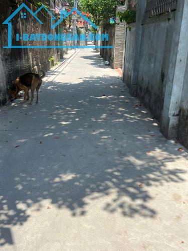 ĐẤT ĐẸP - GIÁ TỐT - Vị Trí Đắc Địa Tại Xã Liên Ninh, Huyện Thanh Trì, Thành phố Hà Nội - 2