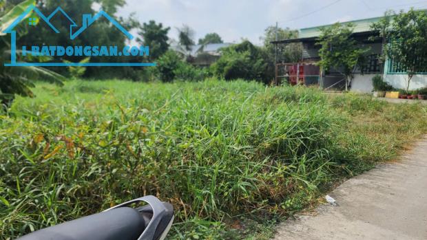 Đất Bình Chánh, Quy Đức, đất cây lâu năm, Đoàn Nguyễn Tuấn HL11