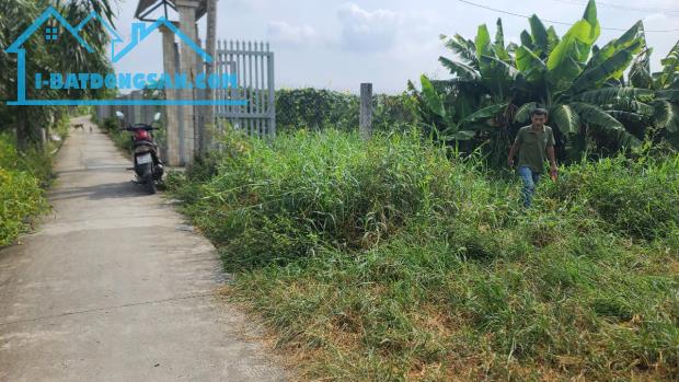 Đất Bình Chánh, Quy Đức, đất cây lâu năm, Đoàn Nguyễn Tuấn HL11 - 1