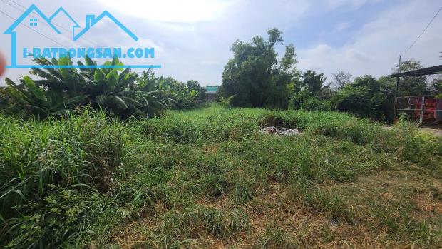 Đất Bình Chánh, Quy Đức, đất cây lâu năm, Đoàn Nguyễn Tuấn HL11 - 2