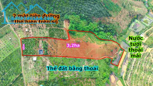 3,2ha đất trồng cà phê, tiêu, sầu riêng, cây ăn trái gần trung tâm Gia Nghĩa