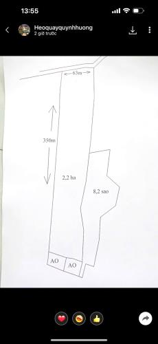 3,2ha đất trồng cà phê, tiêu, sầu riêng, cây ăn trái gần trung tâm Gia Nghĩa - 3