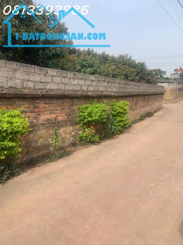 Đất nền Chu Điện gần chợ, gần đường lớn, đầu tư sinh lời cao, giá cực mềm - 4
