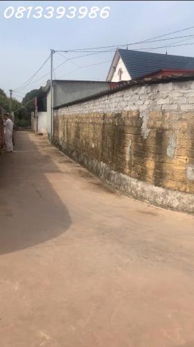Đất nền Chu Điện gần chợ, gần đường lớn, đầu tư sinh lời cao, giá cực mềm - 2