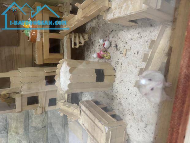 Bán gấp nhà đẹp ở ngay mặt tiền kinh doanh Mai Hắc Đế, xe hơi ngủ nhà, 150m2, SHR, HCĐ. - 1