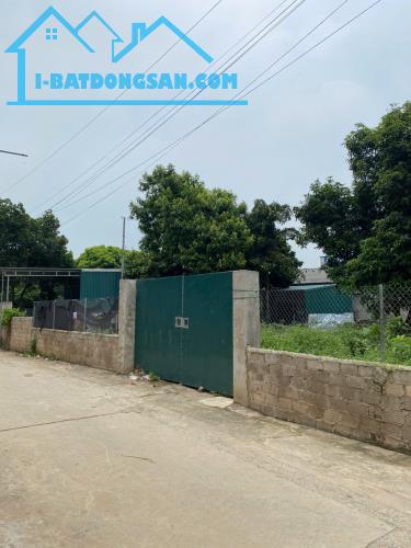 e cần bán lô đất 462m có 200m thổ cư tại đông phương yên chương mỹ hà nội - 2