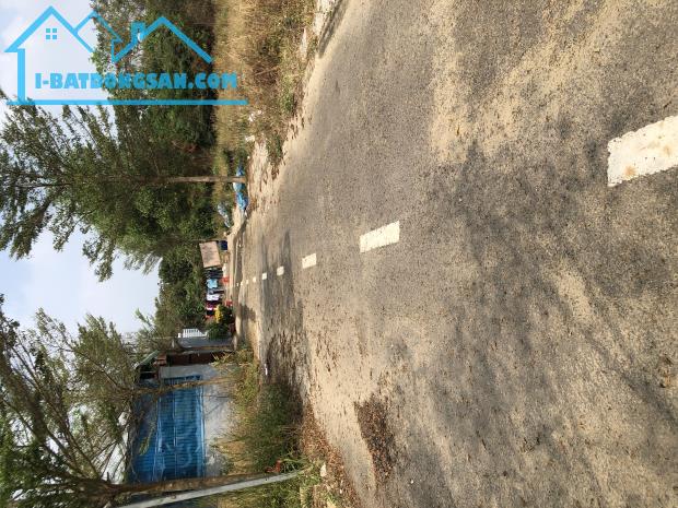 Đất Đẹp Sông Trầu – Gần Nguyễn Hoàng – Đường Nhựa 6m – Giá Chỉ 950 Triệu