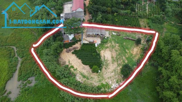 đất nghĩ dưỡng ba vì view hồ chỉ hơn 2 tỷ - 2