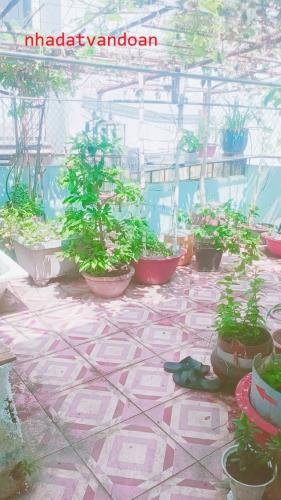 GẤP GẤP GẤP BÁN NHÀ MẶT TIỀN BÀU CÁT 8, P.14, TÂN BÌNH, Ở/KINH DOANH - CHỈ NHỈNH 19 TỶ - 3