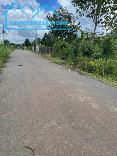 Chính chủ bán gấp 1 sào 9 đất Suối Rao Châu Đức – full hồng, view suối, giá chỉ 2.6 tỷ