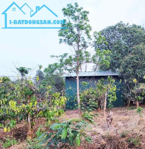 BÁN LÔ ĐẤT ĐỎ BA ZAN 1.7HA - GẦN HỒ SINH THÁI - X.EA KAO-TP.BUÔN MA THUỘT - 450TR/ SÀO - 1