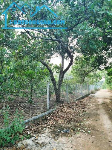 BÁN LÔ ĐẤT ĐỎ BA ZAN 1.7HA - GẦN HỒ SINH THÁI - X.EA KAO-TP.BUÔN MA THUỘT - 450TR/ SÀO - 2