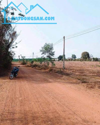 Cấn bán nhanh 2lô đất sào cách đương đt 753, 80m  giá 650tr - 2