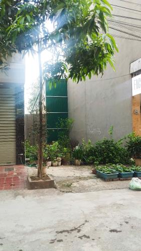 Hàng hiếm! Bán đất dịch vụ Vạn Phúc, phía sau shophouse Him Lam, 46m2, mt 4.6m giá đầu tư