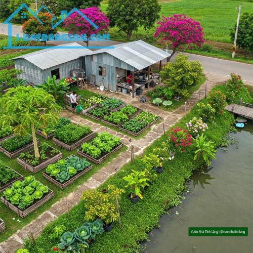 Đất nhà vườn rẻ đẹp suối sau nhà 1 tỷ 650tr/500m2
