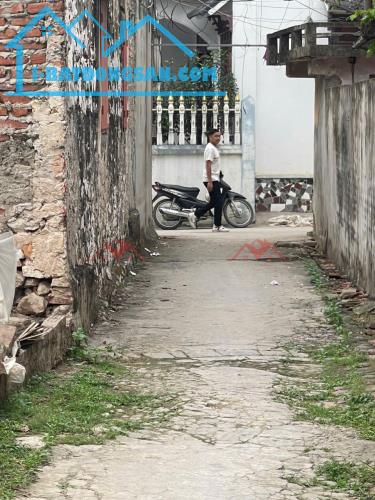 CHÍNH CHỦ BÁN LÔ ĐẤT 54M TẠI PHỤNG CHÂU-CHƯƠNG MỸ-HÀ NỘI - 2
