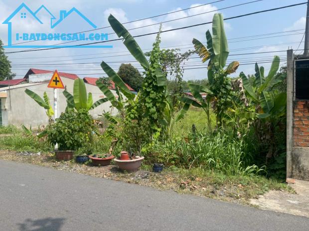 MT đường nhựa xã Phú Hòa Đông 1480m2 QH khu dân cư giá 6,5 tỷ