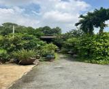 Bán nhà vườn gần sông, gần Cao Ốc Fresia Riverside Tân Vạn, Biên Hòa, 1000m2, giá 10 tỷ.