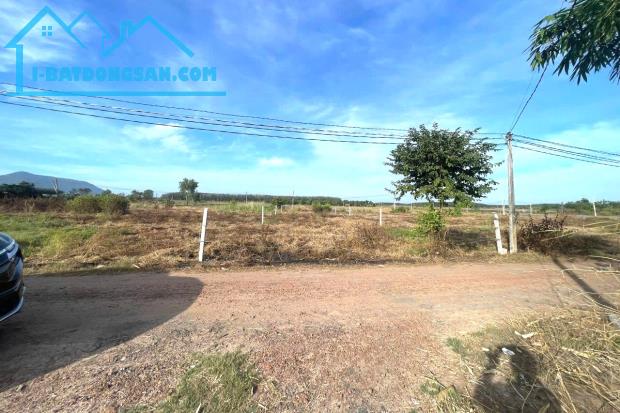 CHÍNH CHỦ BÁN 3 SÀO ĐẤT NGAY CHỢ MINH LẬP CHƠN THÀNH ĐÚNG 190TR/ 1 SÀO - 1