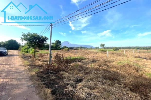CHÍNH CHỦ BÁN 3 SÀO ĐẤT NGAY CHỢ MINH LẬP CHƠN THÀNH ĐÚNG 190TR/ 1 SÀO - 2