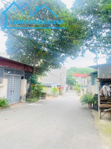 Cần tiền bán gấp ô đất tại Mậu Lâm, Khai Quang, Vĩnh Yên, Vĩnh Phúc - 2