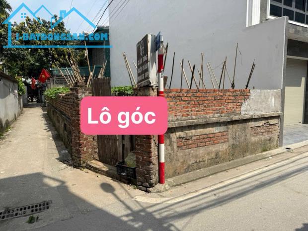 Bán đất siêu hiếm, lô góc, ô tô tránh, đối diện Aeon Mall 80m2, mặt tiền 5m, giá 12.5 tỷ. - 4