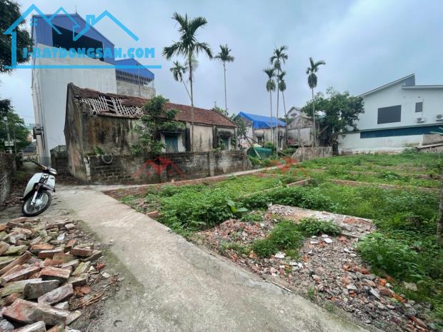 CHÍNH CHỦ BÁN 9 LÔ ĐẤT TẠI BIÊN GIANG-CHƯƠNG MỸ-HÀ NỘI - 1