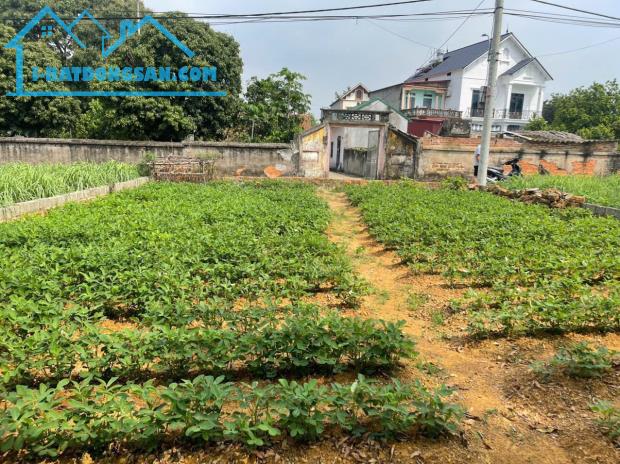 Chính Chủ Gửi Bán Lô Đất Đẹp Tại Yên Thái, Đông Yên, Quốc Oai – Hà Nội - 1