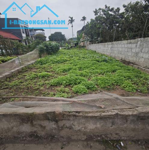 Bán Đất Kỳ Dương – Chương Dương – Thường Tín – 88m², Ô Tô Đỗ Cửa, Giá Chỉ 3x Triệu/m² - 1